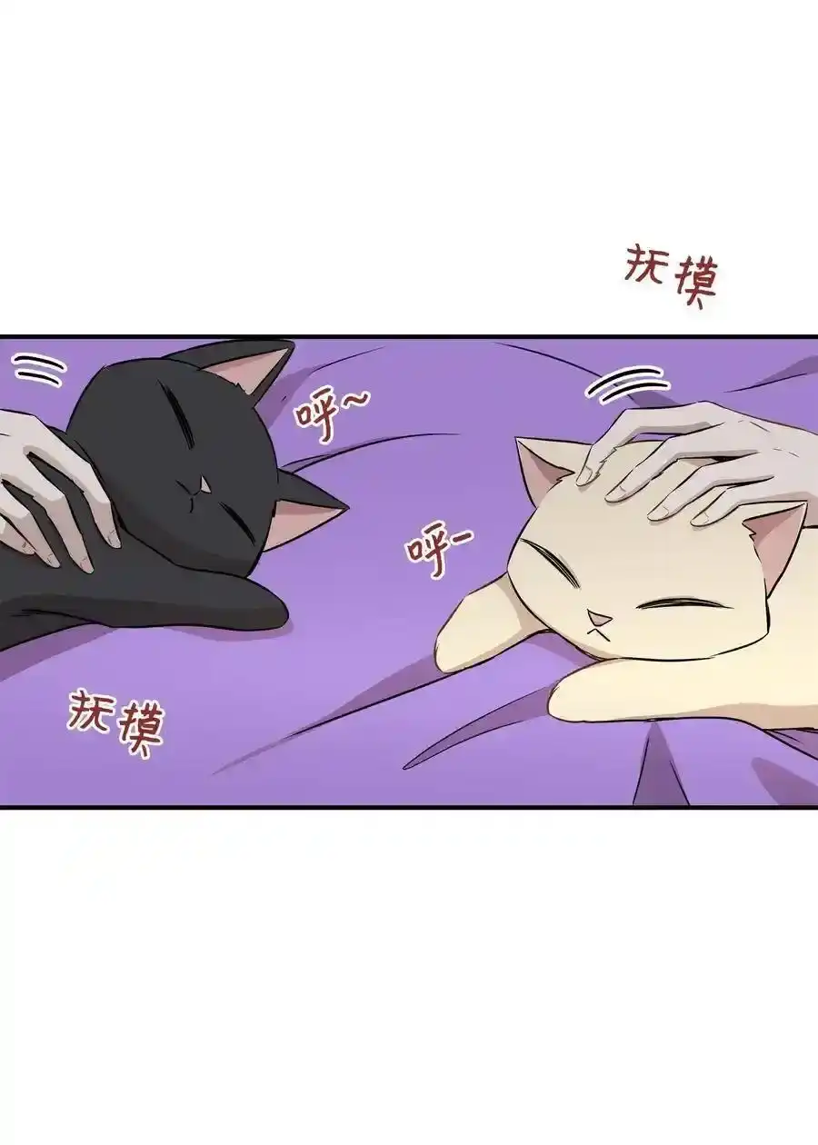 《为喵人生》55 两只猫 第51页