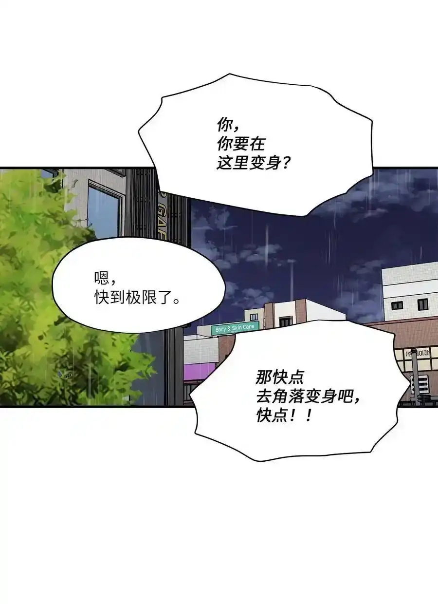 《为喵人生》55 两只猫 第17页