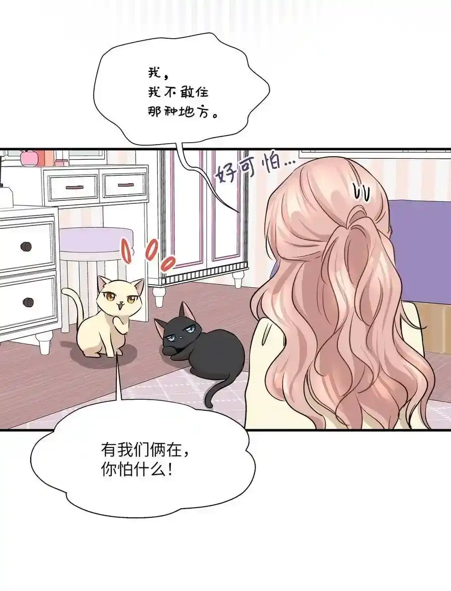 《为喵人生》55 两只猫 第47页
