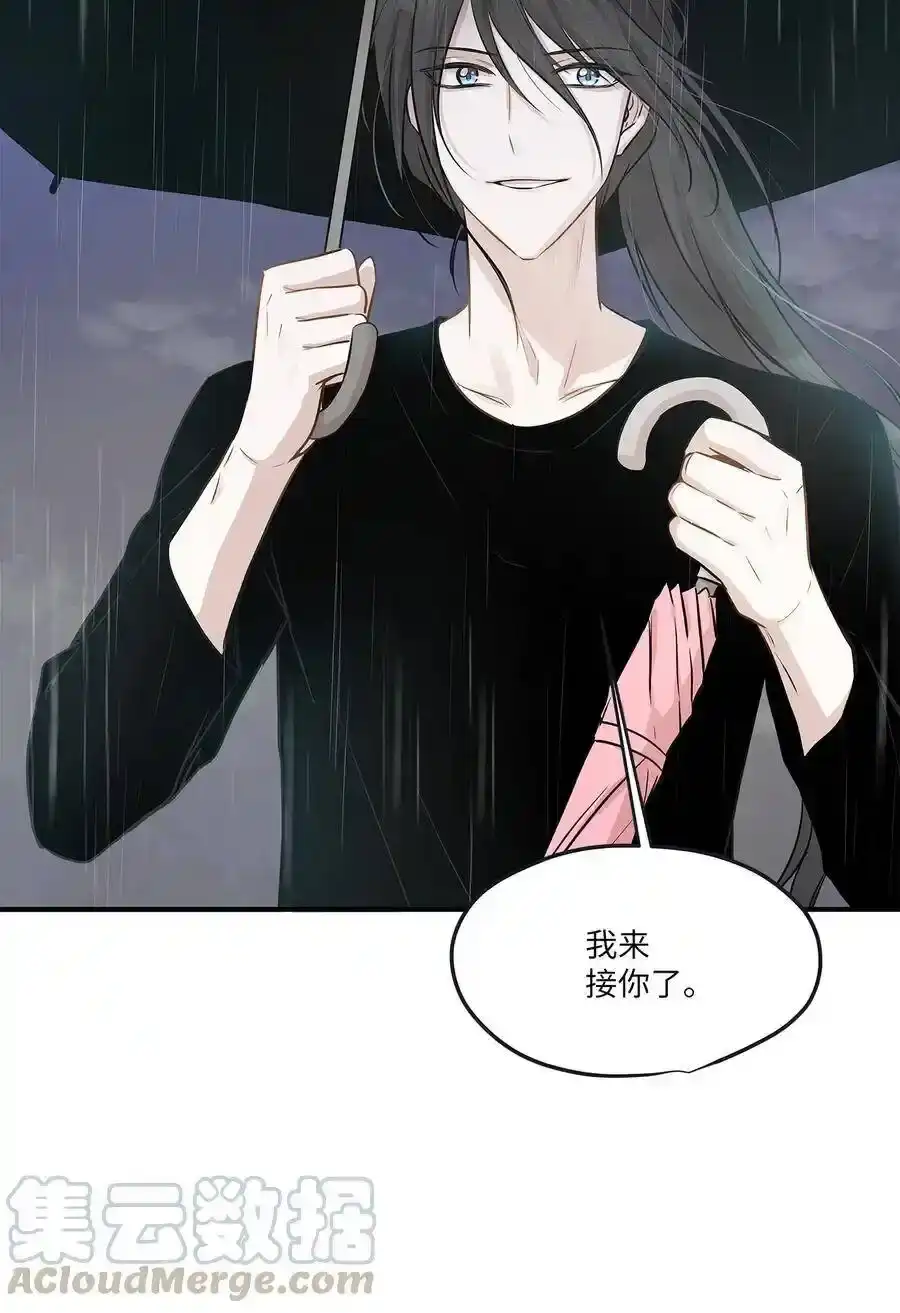 《为喵人生》55 两只猫 第4页