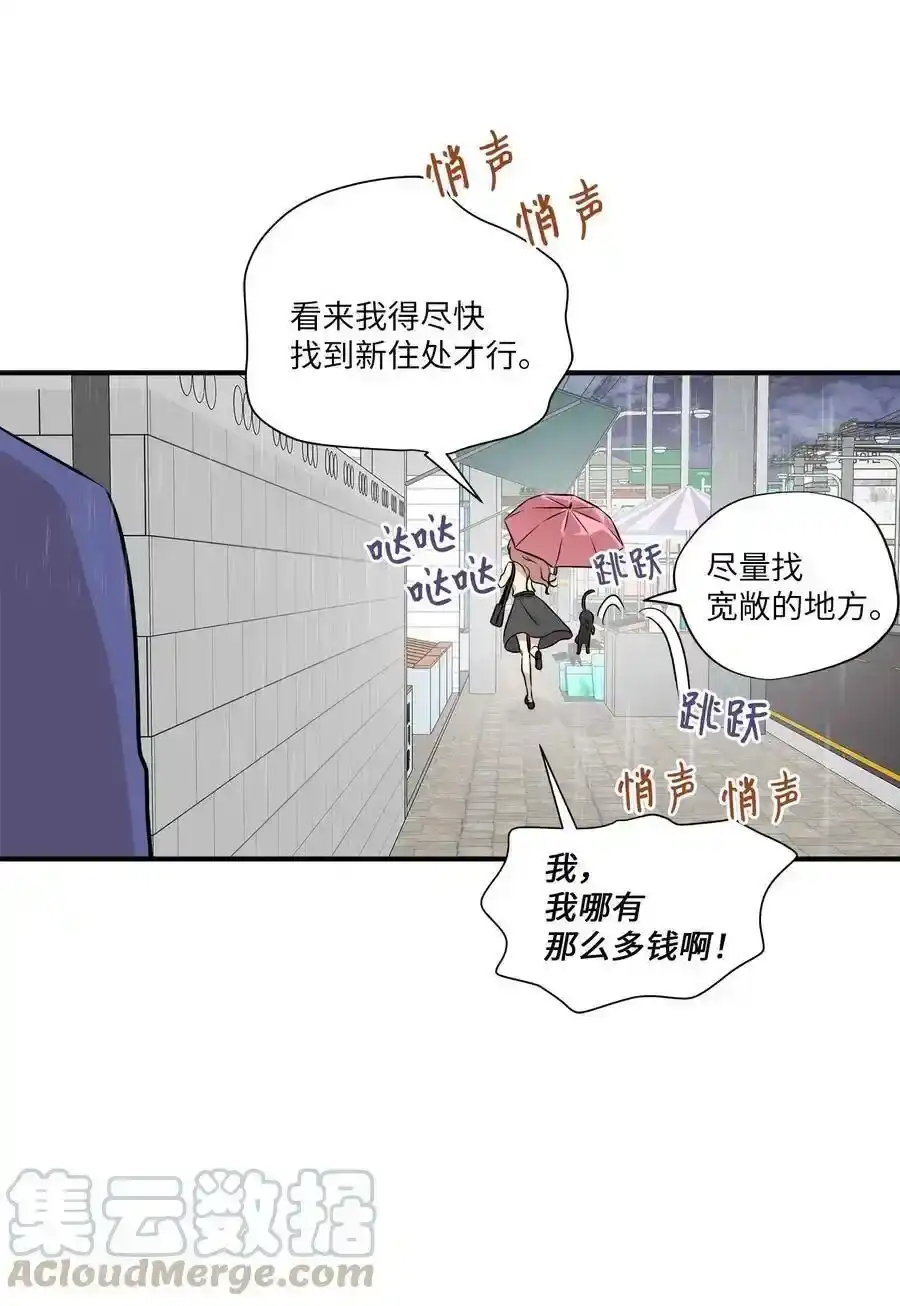 《为喵人生》55 两只猫 第25页