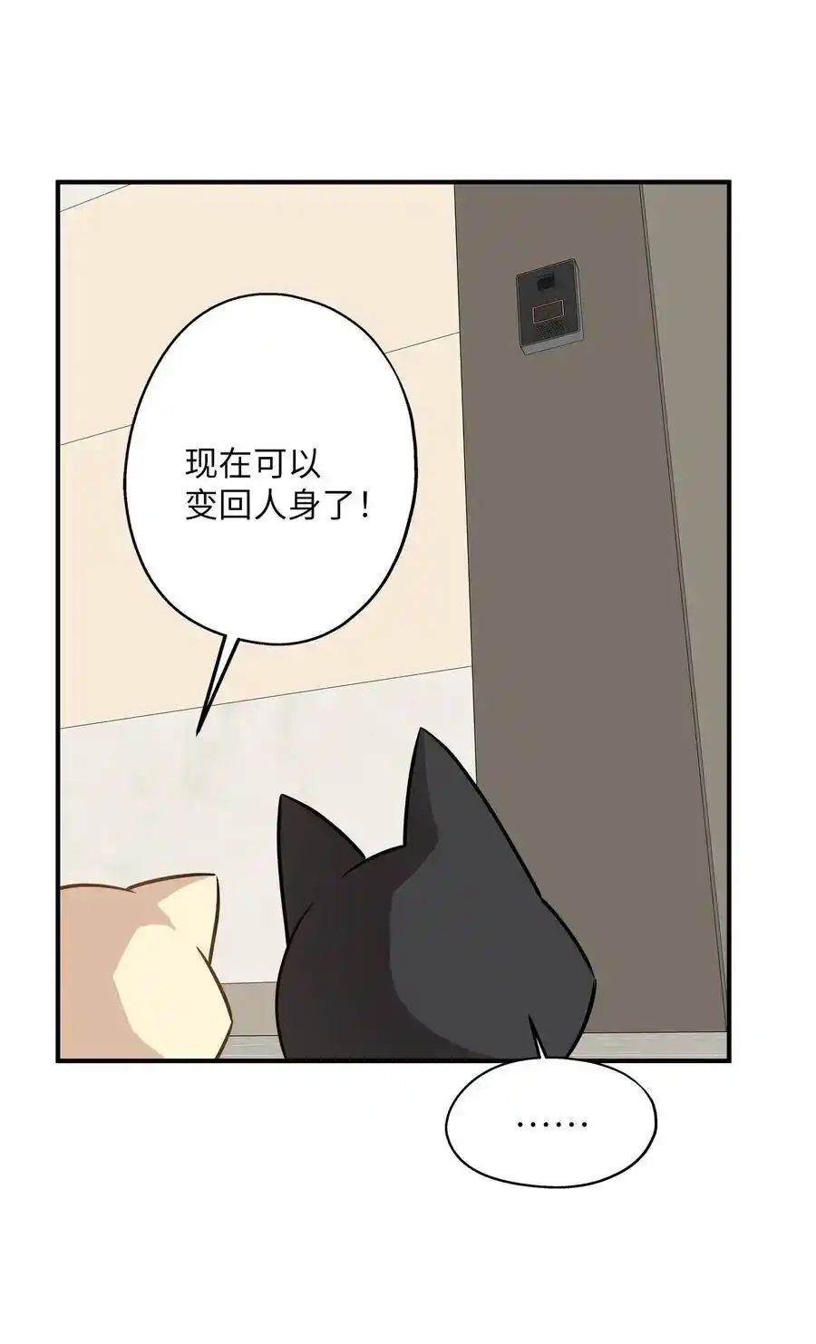 《为喵人生》58 苗苗的疑惑 第62页