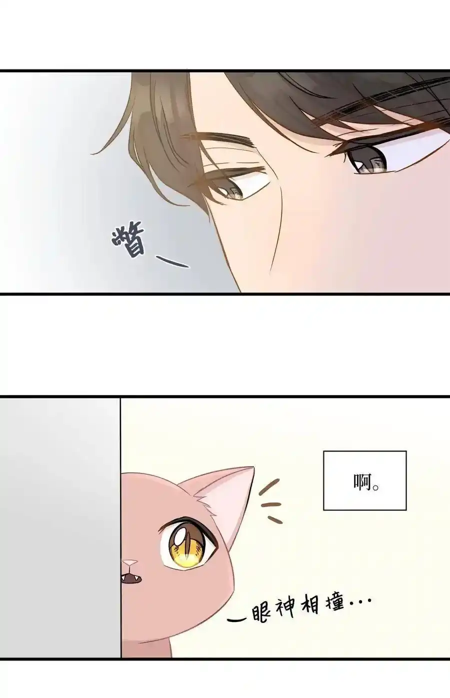 《为喵人生》06 权主任的坦白 第43页