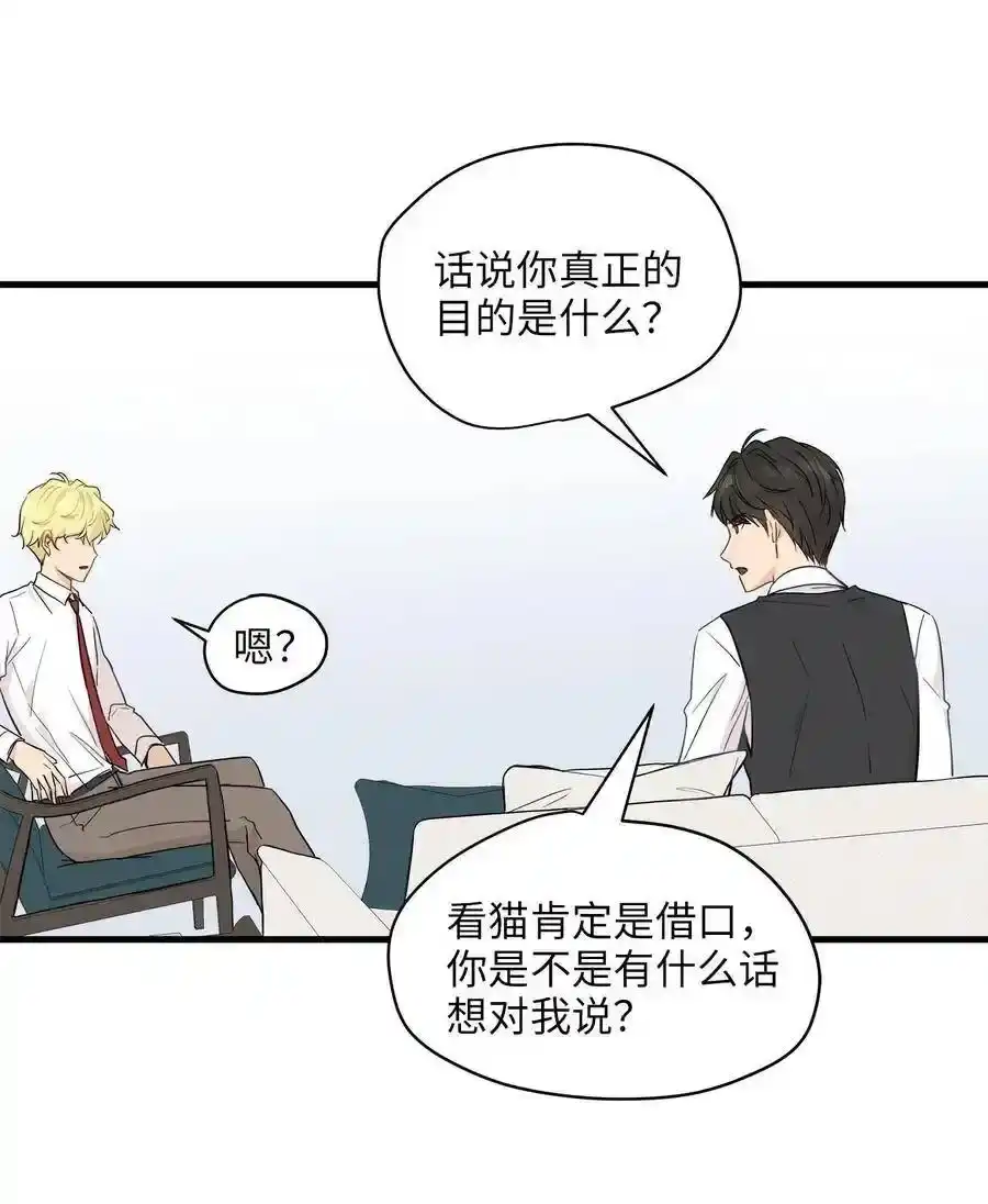 《为喵人生》06 权主任的坦白 第15页