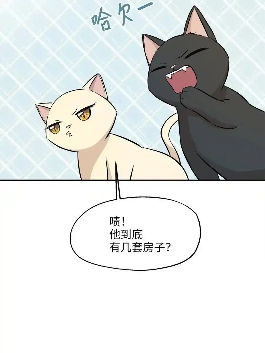 《为喵人生》60 红丹的心思 第3页