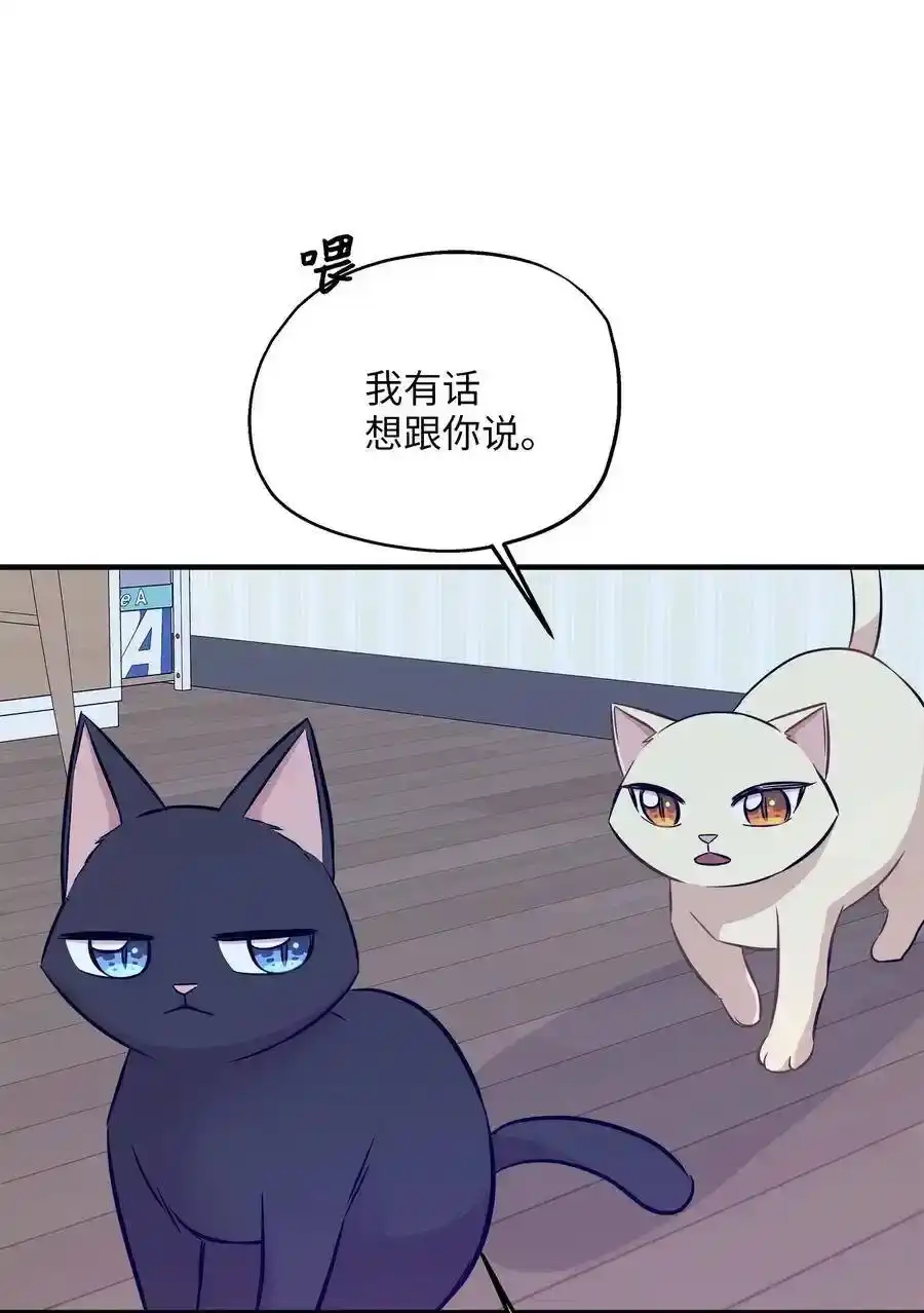 《为喵人生》60 红丹的心思 第20页