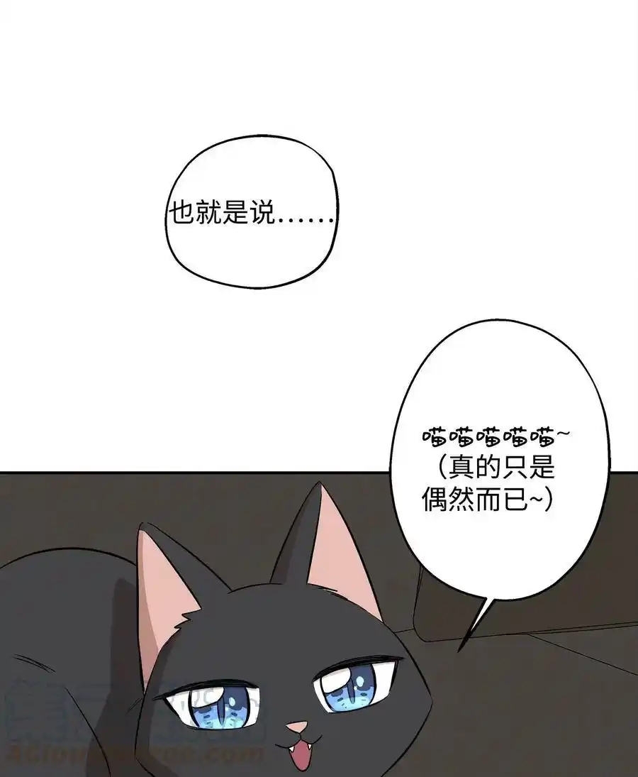 《为喵人生》67 心动之夜 第37页