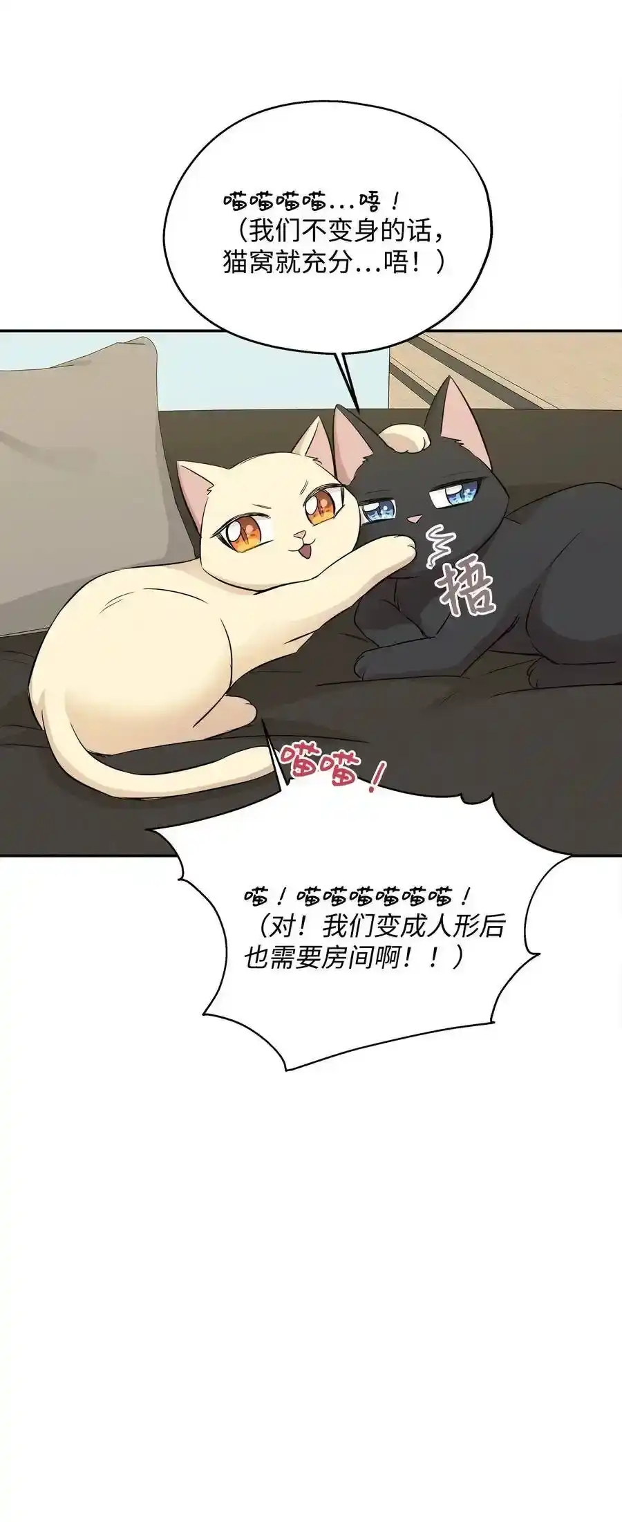 《为喵人生》67 心动之夜 第24页