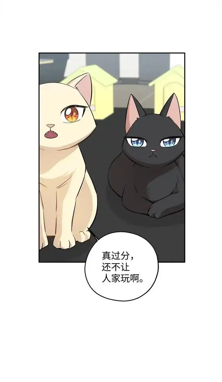 《为喵人生》69 暗处的祸根 第12页
