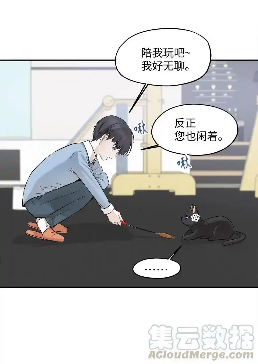 《为喵人生》69 暗处的祸根 第4页