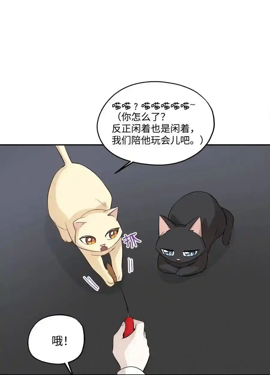 《为喵人生》69 暗处的祸根 第5页