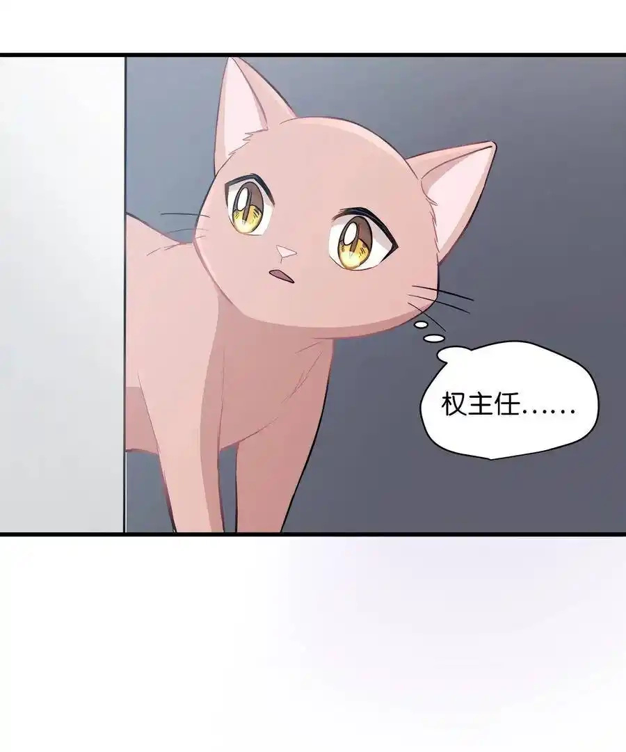 《为喵人生》07 不要再说对不起 第4页