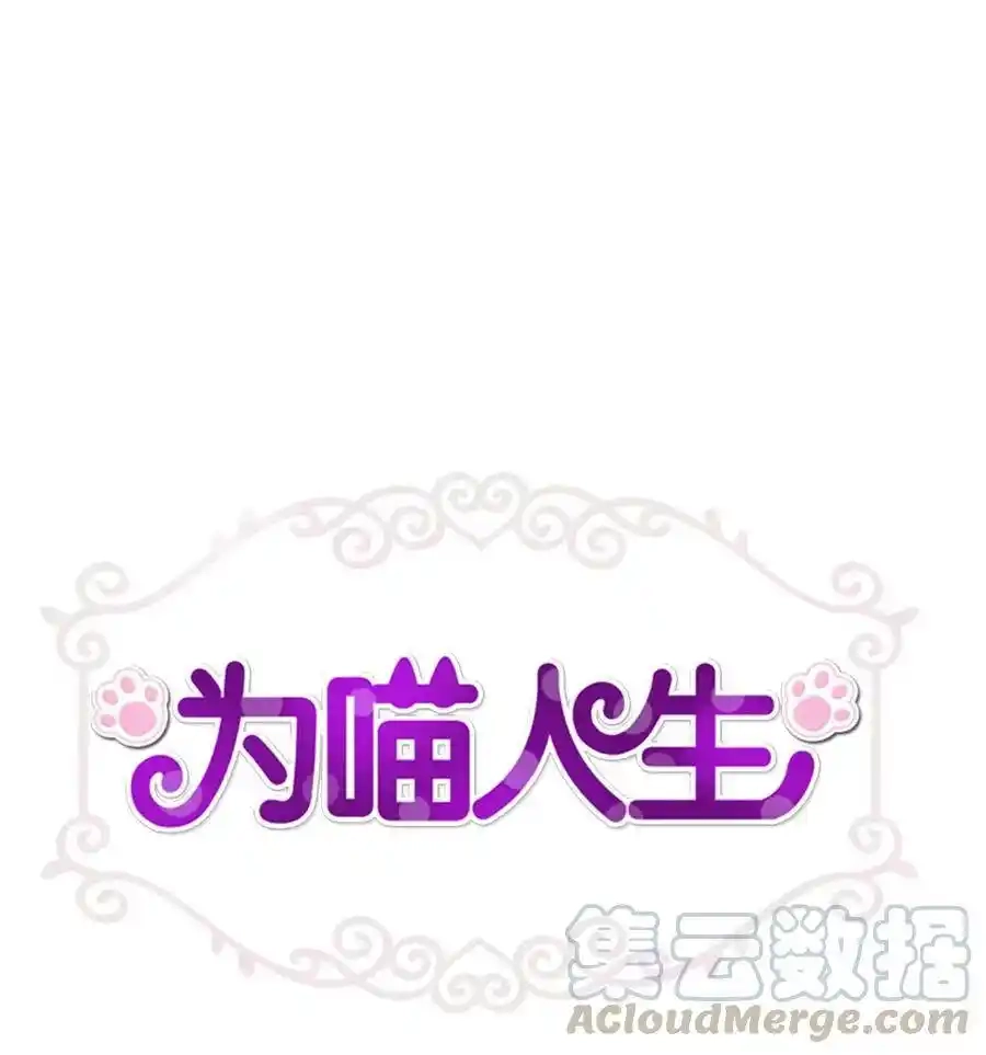 《为喵人生》75 成为家人 第1页