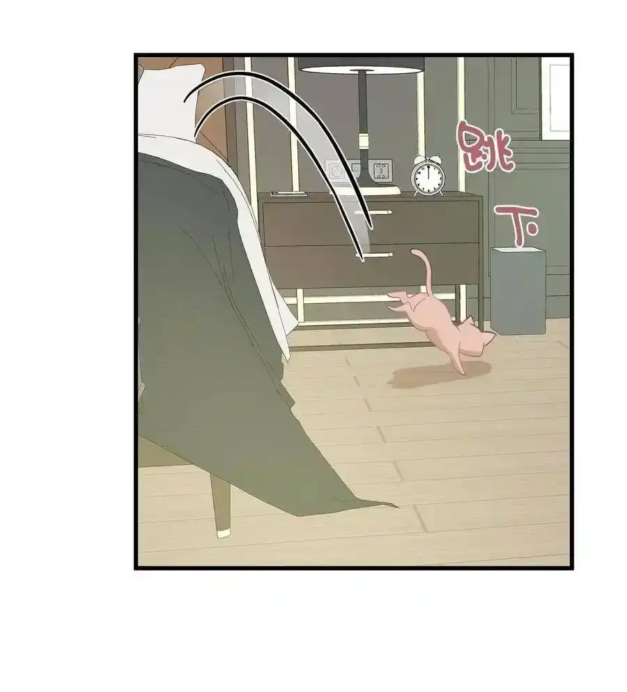 《为喵人生》08 这只猫自带闹钟功能 第48页