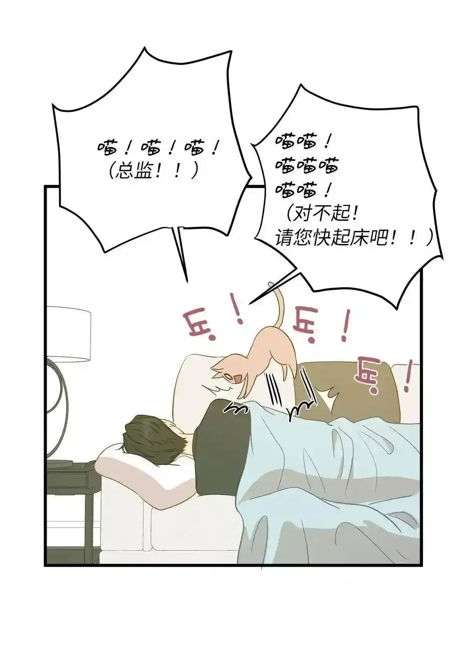 《为喵人生》08 这只猫自带闹钟功能 第58页
