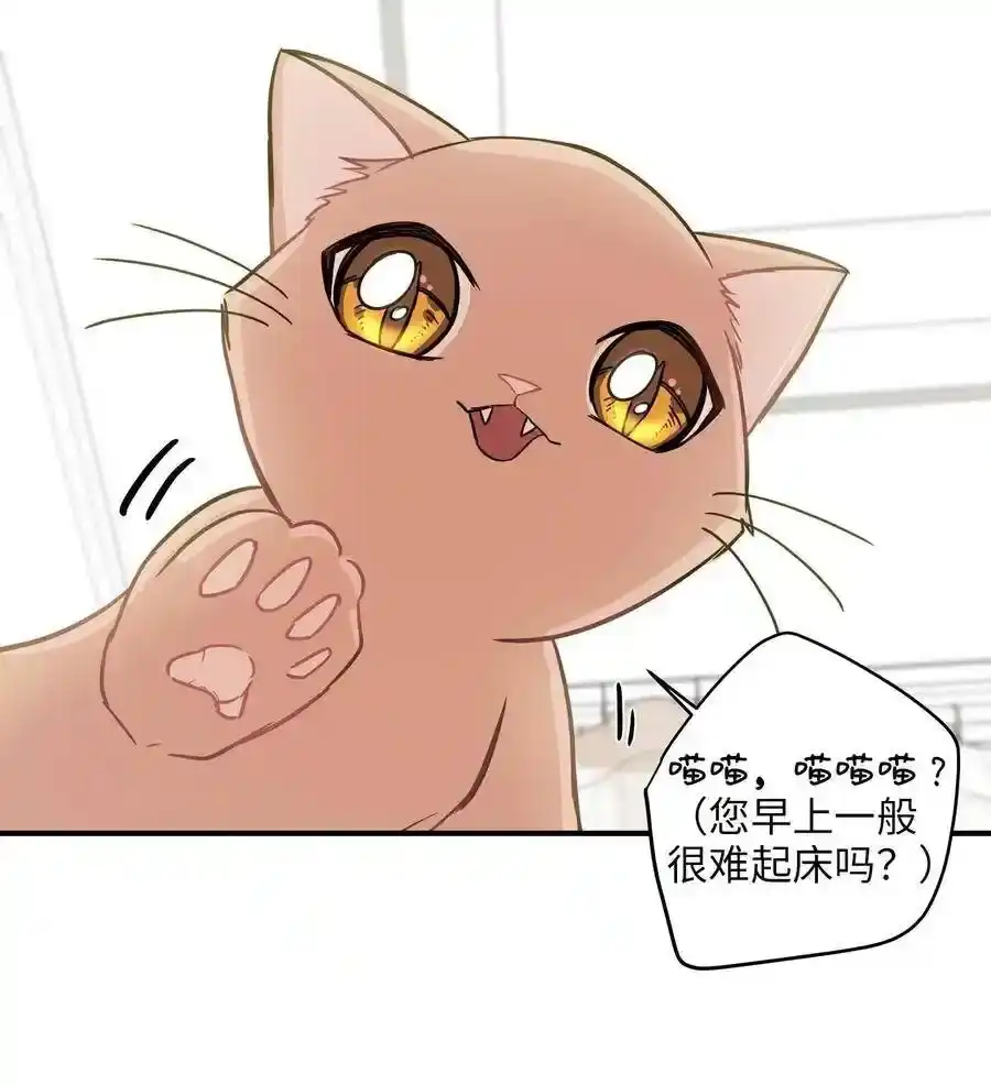《为喵人生》08 这只猫自带闹钟功能 第62页