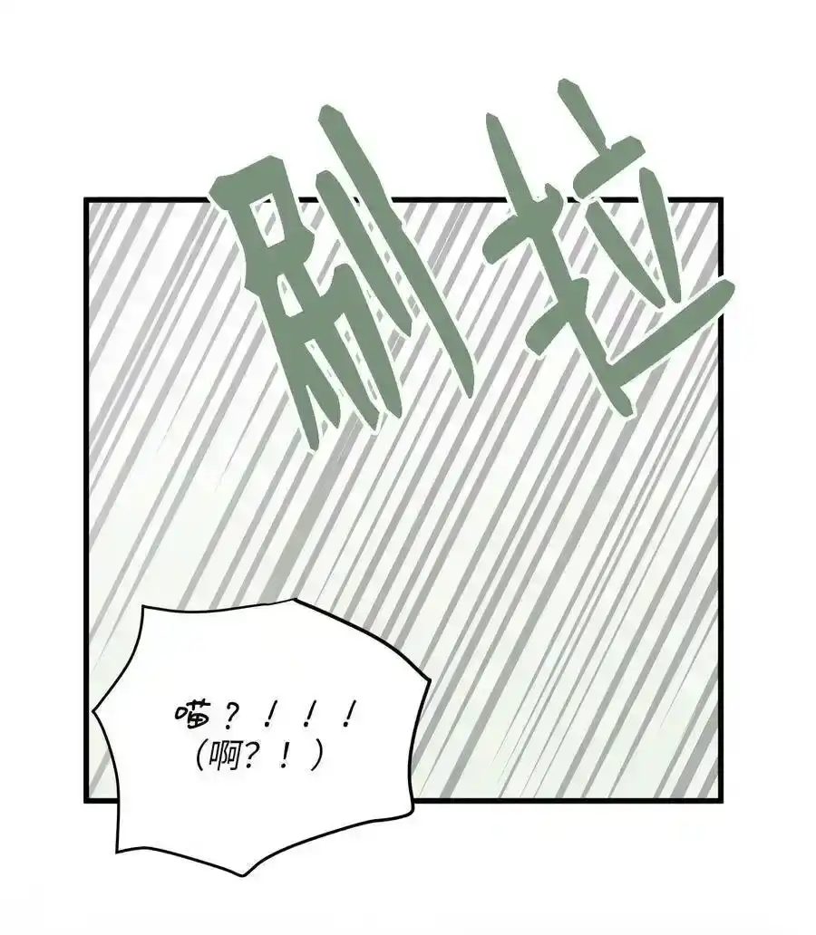 《为喵人生》08 这只猫自带闹钟功能 第65页