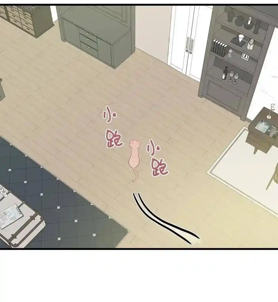 《为喵人生》08 这只猫自带闹钟功能 第49页