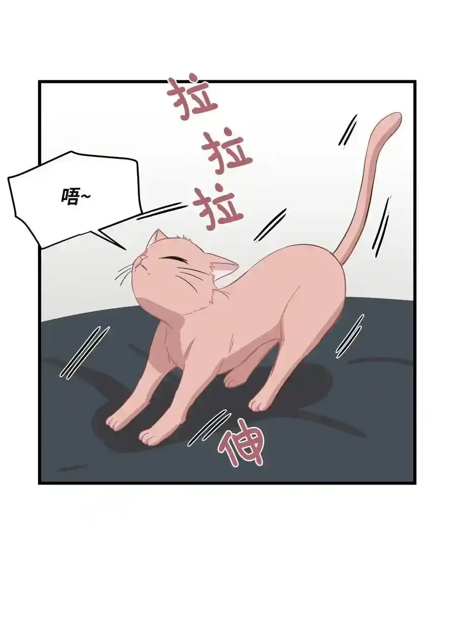《为喵人生》08 这只猫自带闹钟功能 第46页