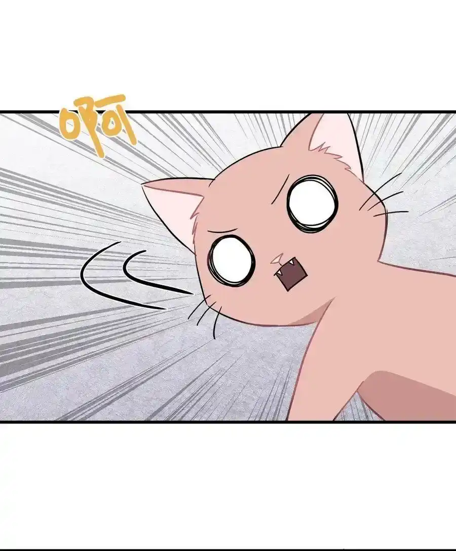 《为喵人生》08 这只猫自带闹钟功能 第53页