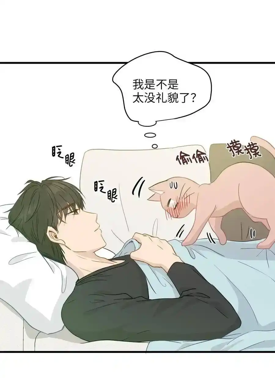 《为喵人生》08 这只猫自带闹钟功能 第64页