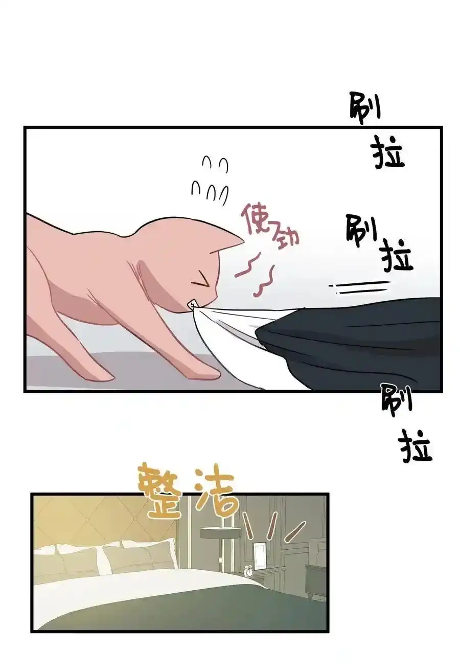 《为喵人生》08 这只猫自带闹钟功能 第47页