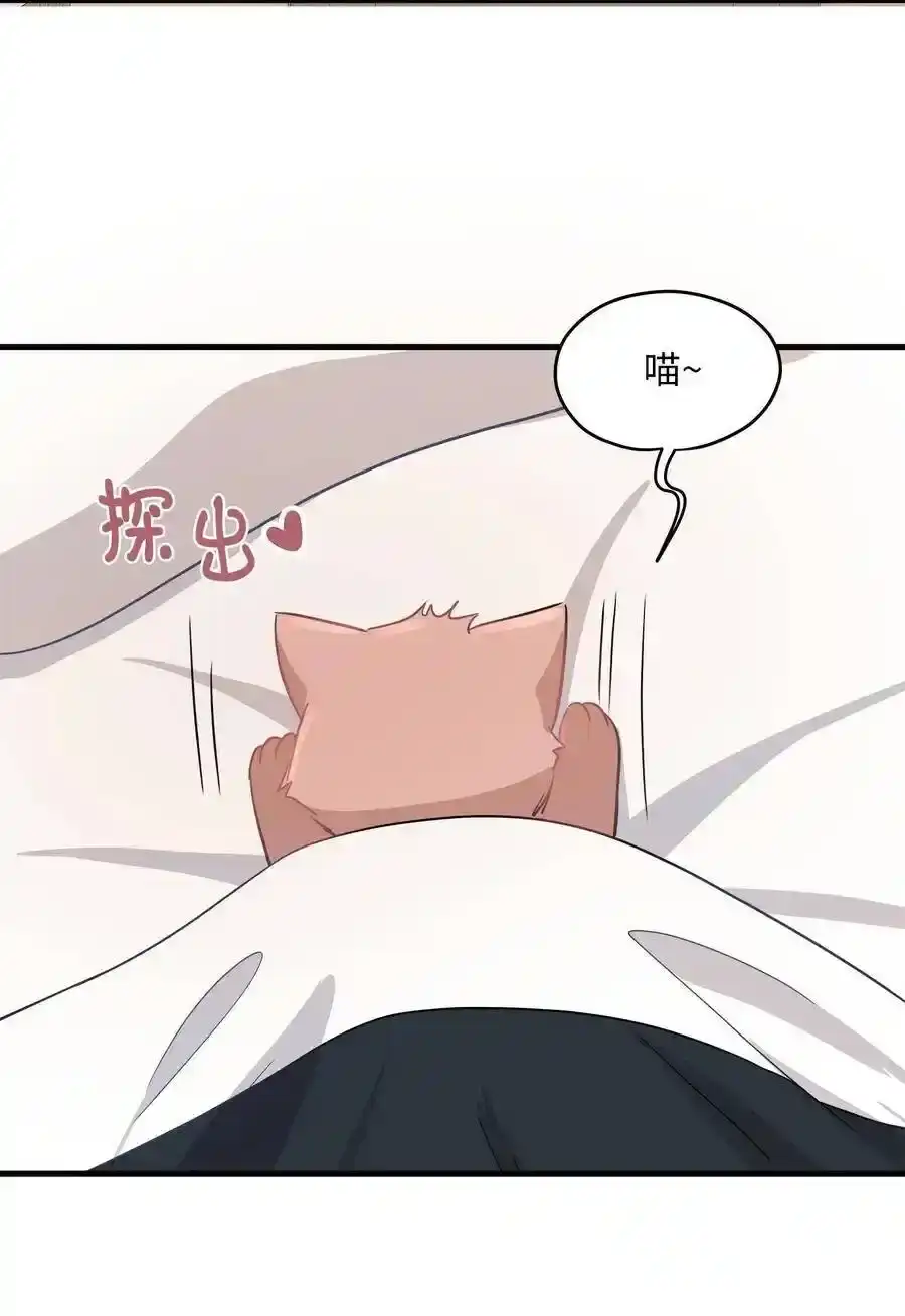 《为喵人生》08 这只猫自带闹钟功能 第45页