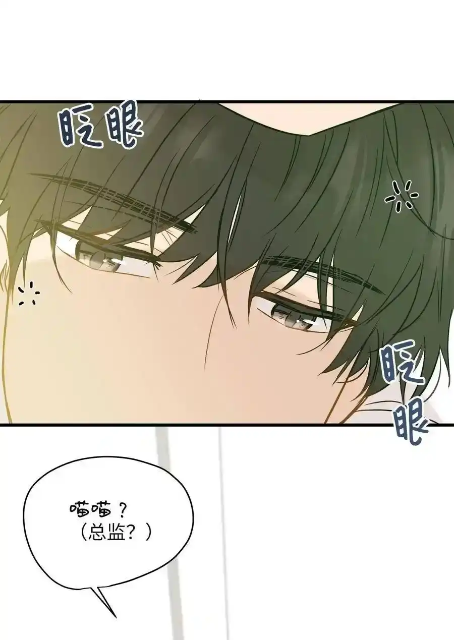 《为喵人生》08 这只猫自带闹钟功能 第61页