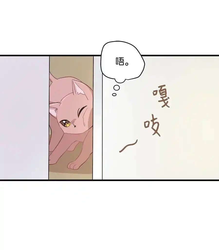 《为喵人生》08 这只猫自带闹钟功能 第51页