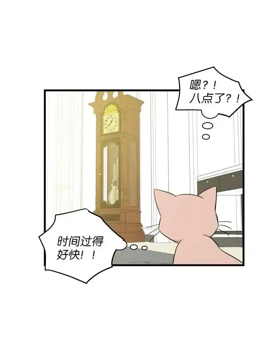 《为喵人生》08 这只猫自带闹钟功能 第52页