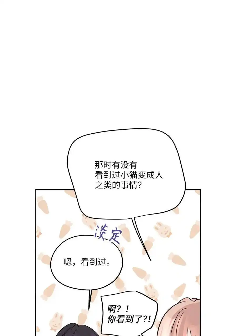 《为喵人生》80 晴天霹雳 第41页