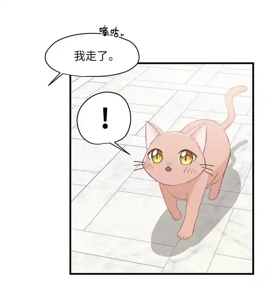 《为喵人生》09 公司第一继承人 第12页