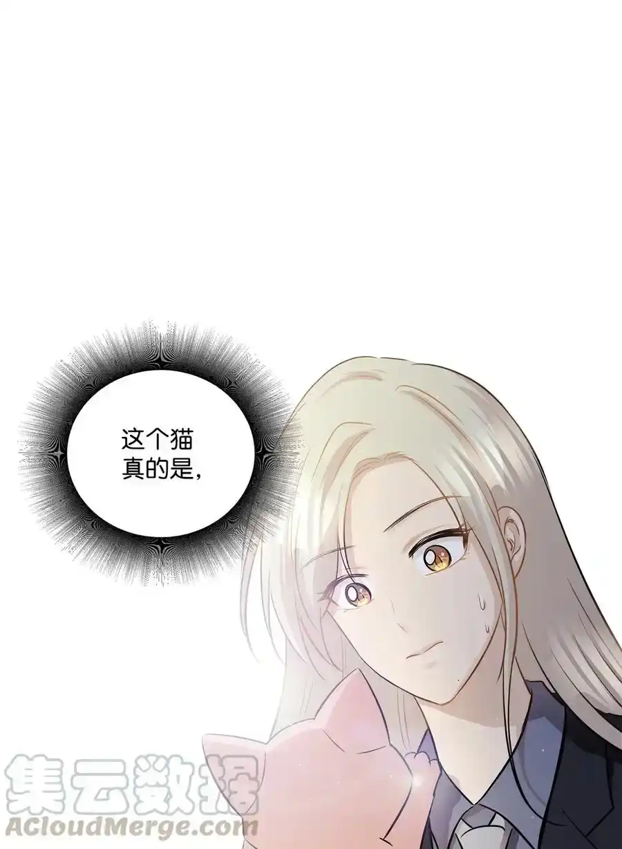 《为喵人生》92 反击 第1页