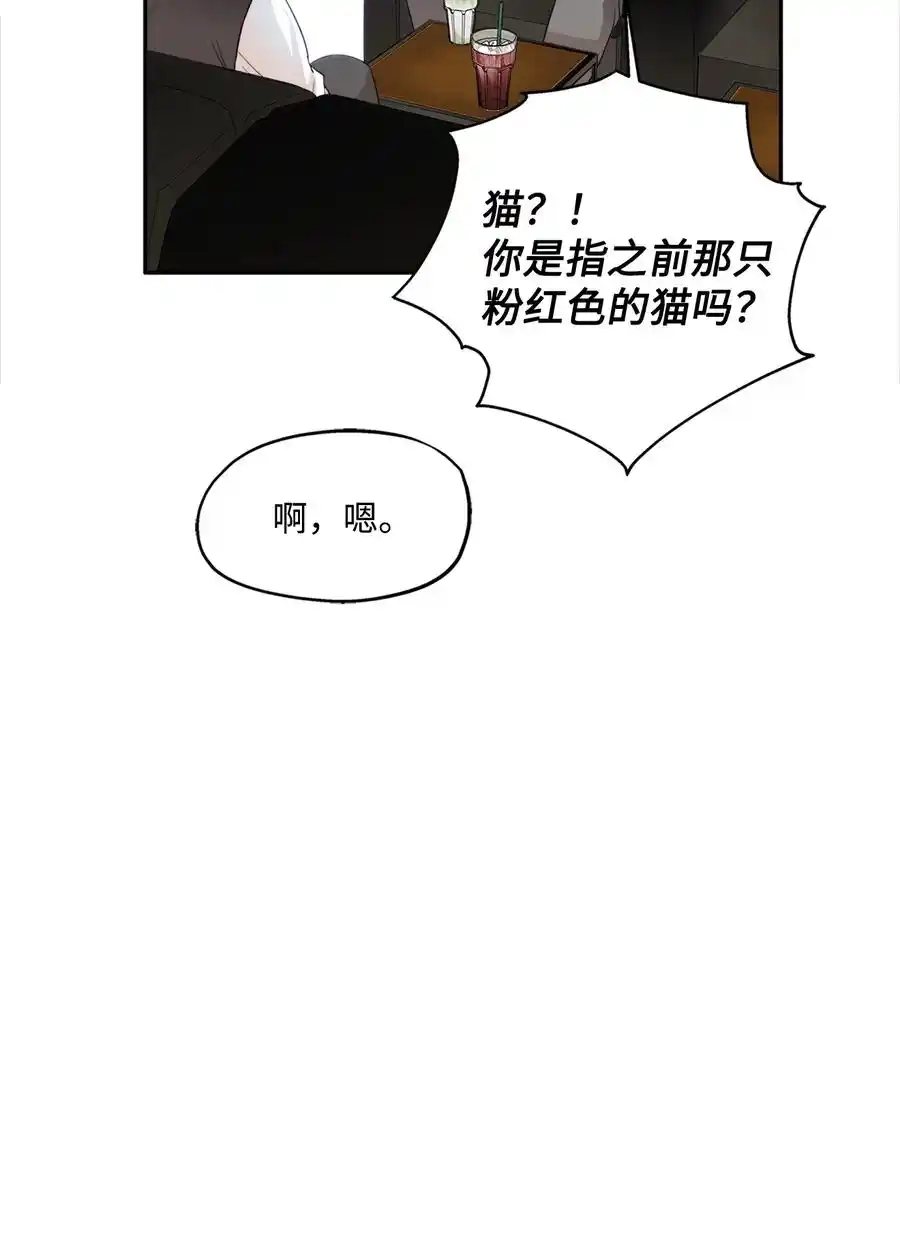 《为喵人生》94 团建旅游 第24页