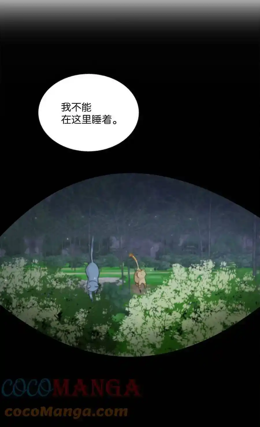 《为喵人生》97 奇异空间 第43页