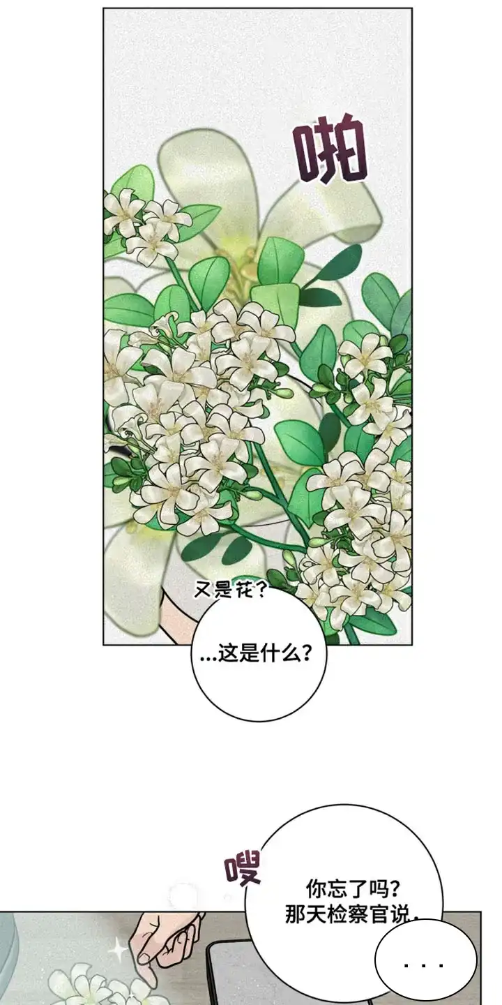 《为我祈祷》第11话 第13页