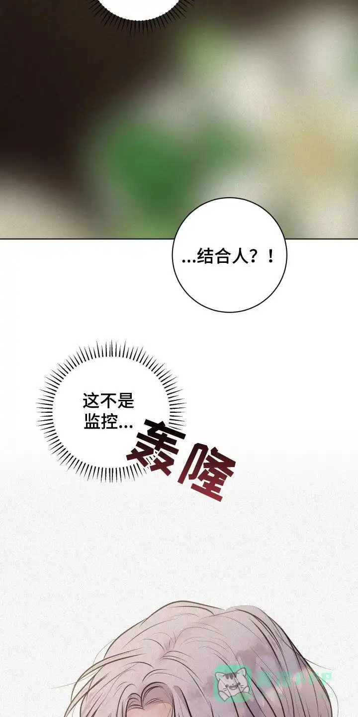 《为我祈祷》第68话 第31页