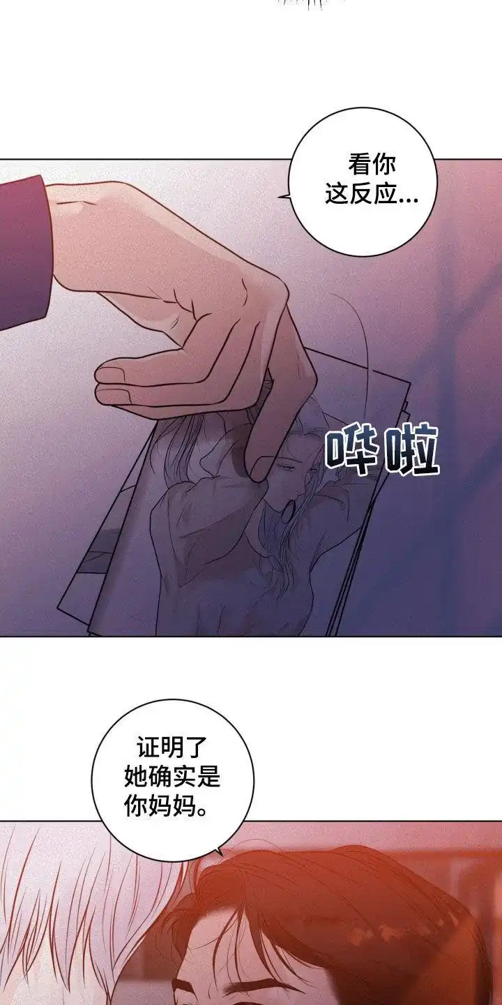 《为我祈祷》第73话 第12页