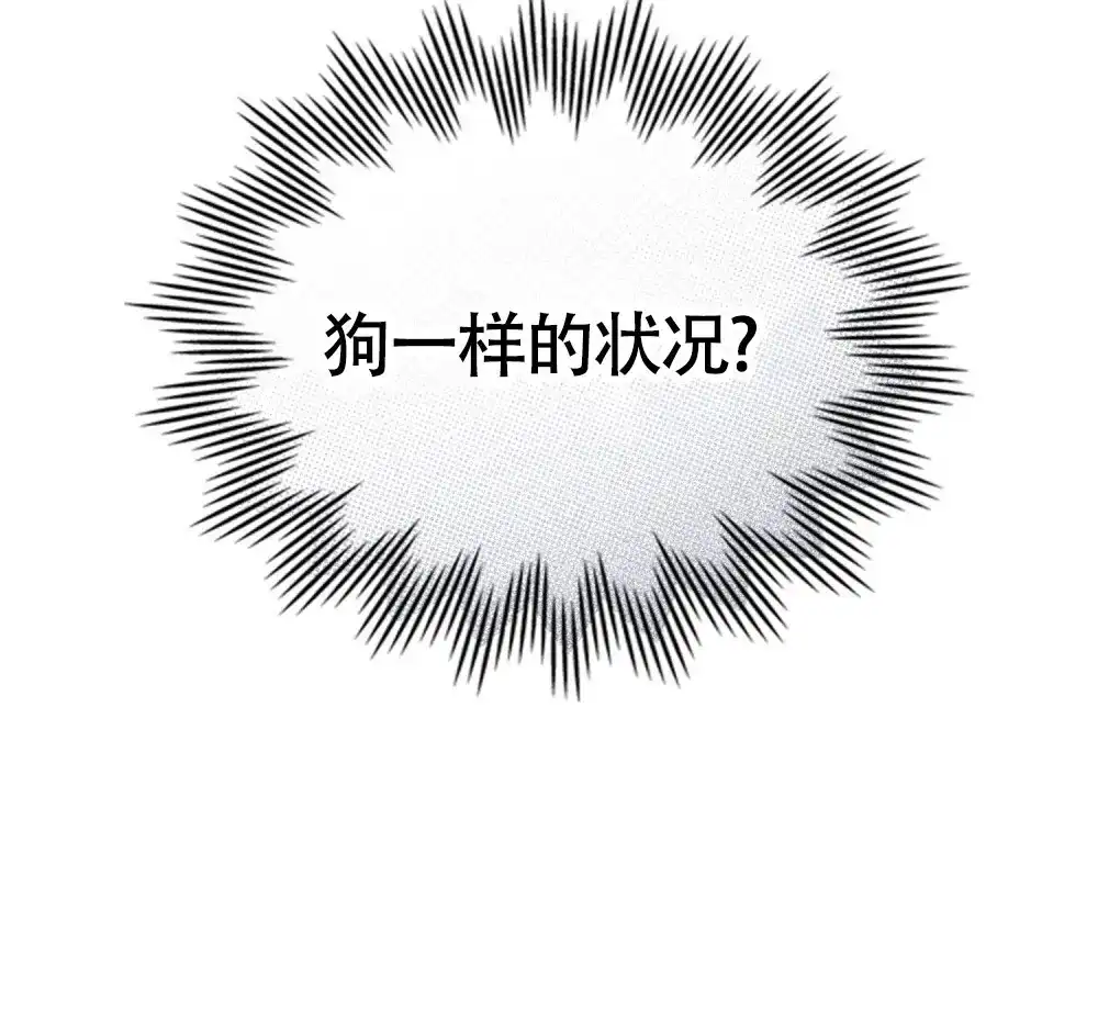 《伪装浪漫》第13话 第14页