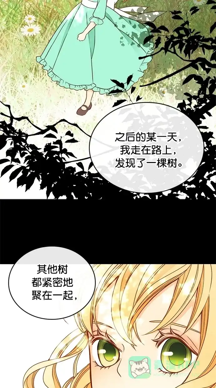 《温蒂的花店》第27话 第48页