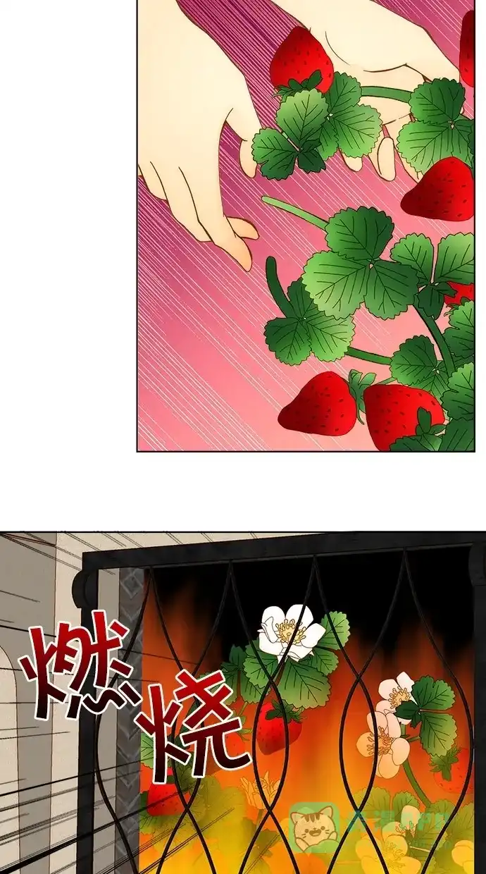 《温蒂的花店》第3话 第5页
