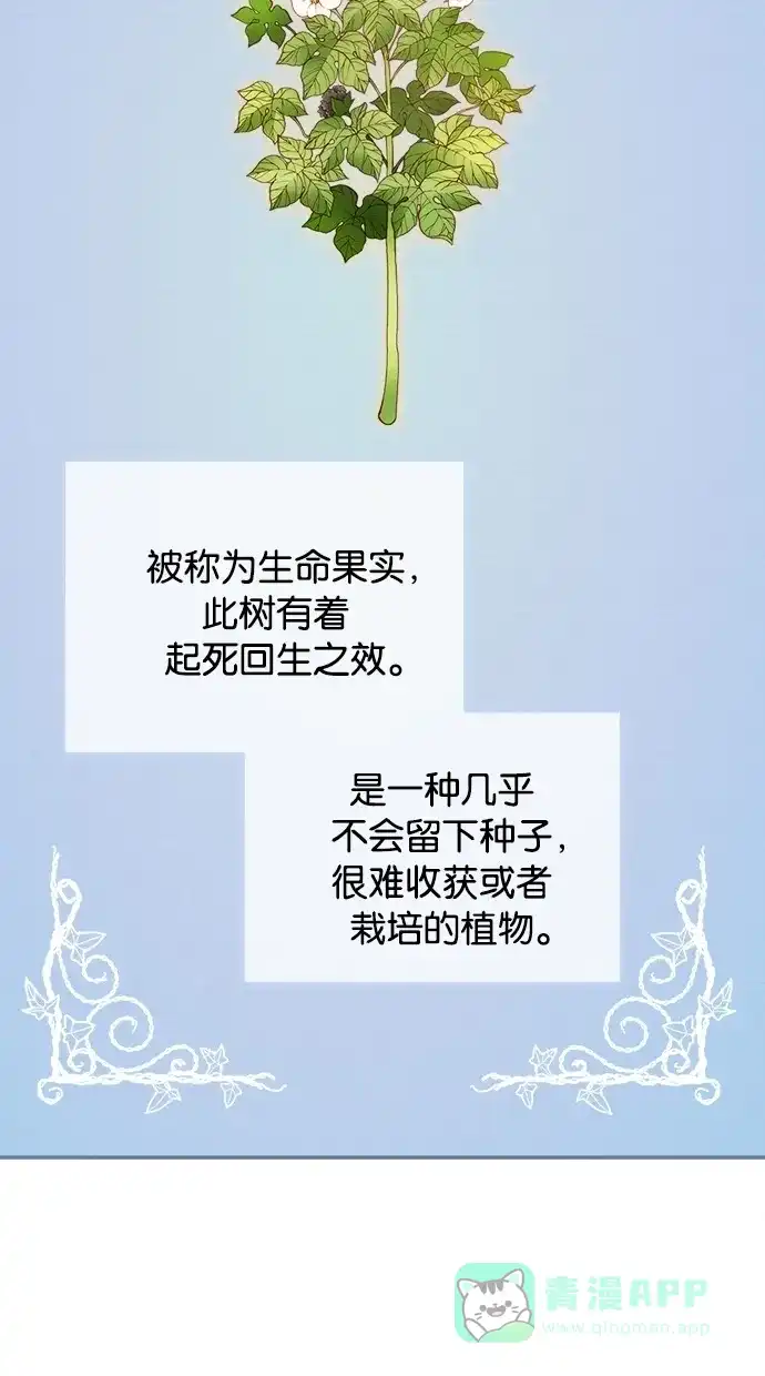 《温蒂的花店》第4话 第5页