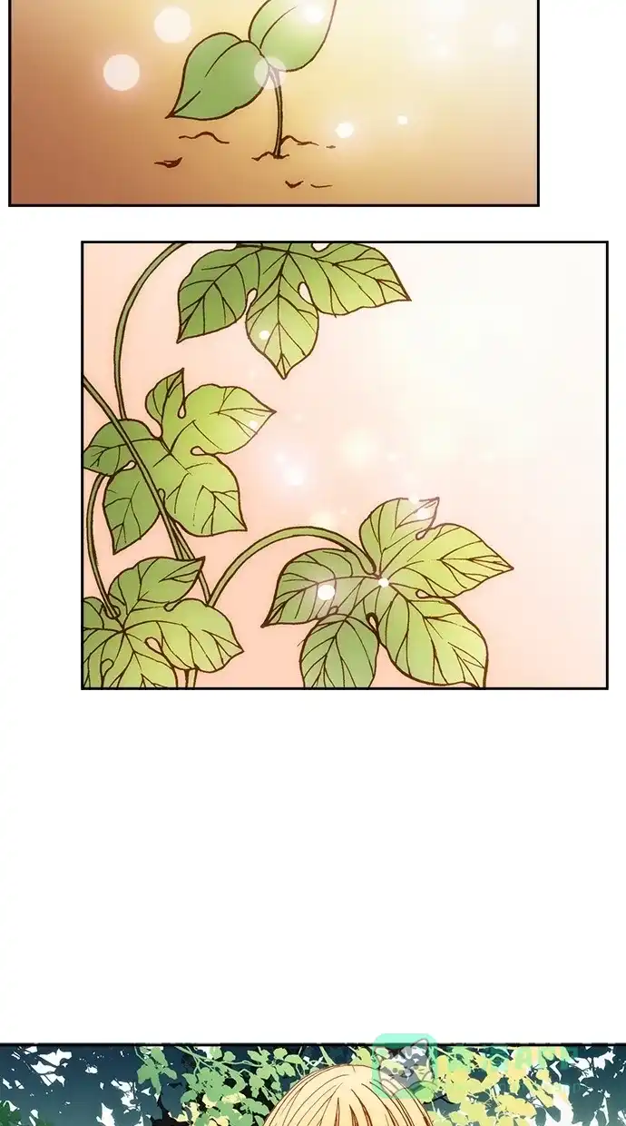 《温蒂的花店》第7话 第42页