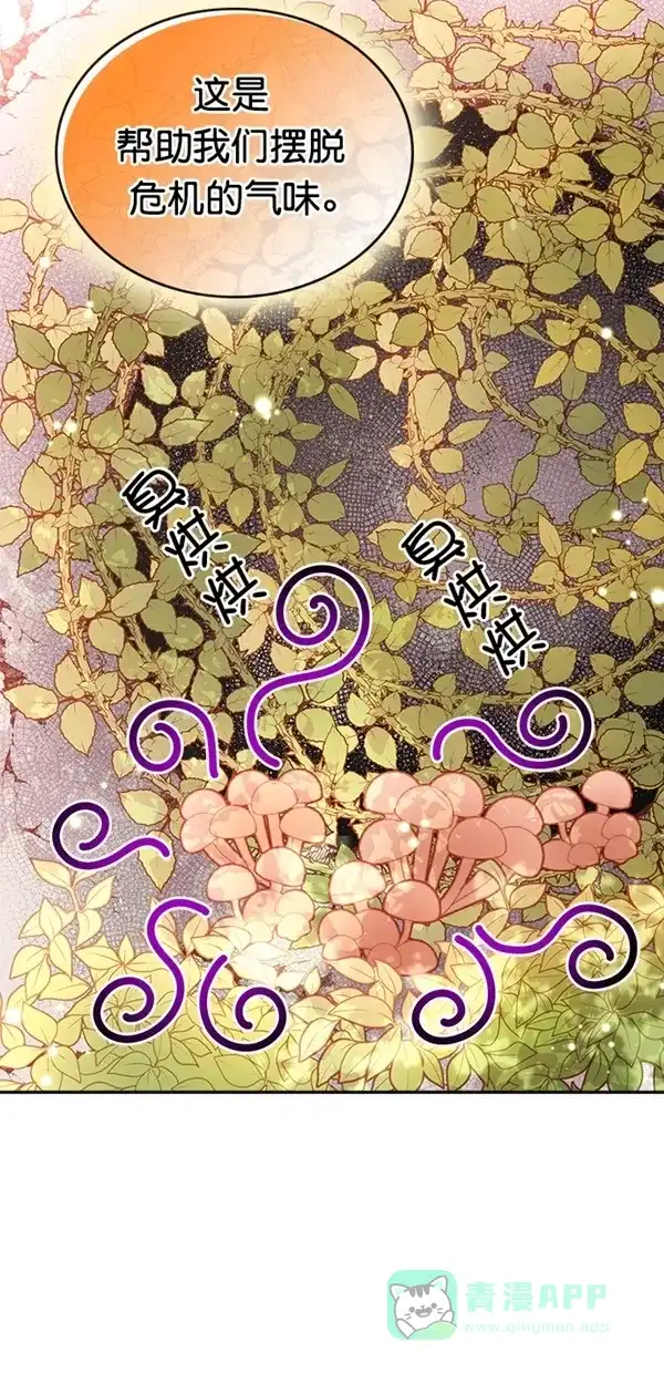 《温蒂的花店》[第三季] 第4话 第50页
