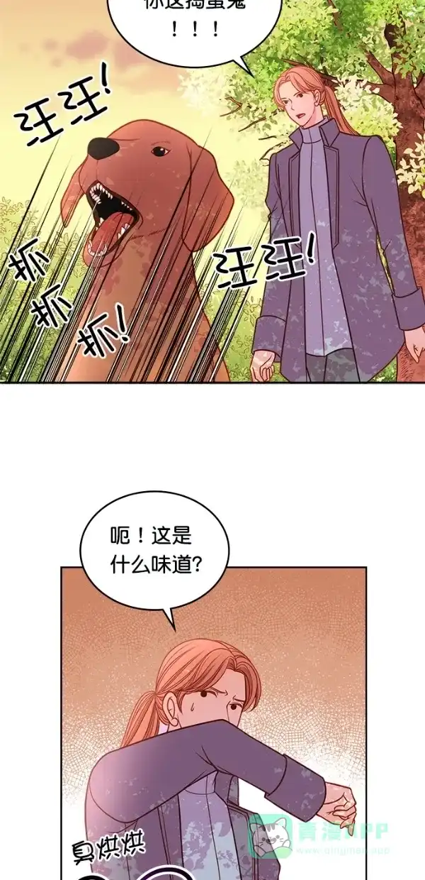 《温蒂的花店》[第三季] 第4话 第32页