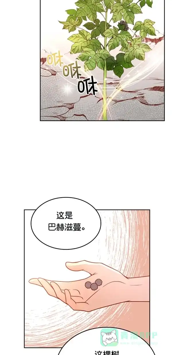 《温蒂的花店》[第三季] 第4话 第41页