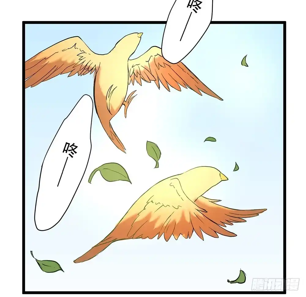 《温柔的屠龙方式》凤族凤雅 第4页