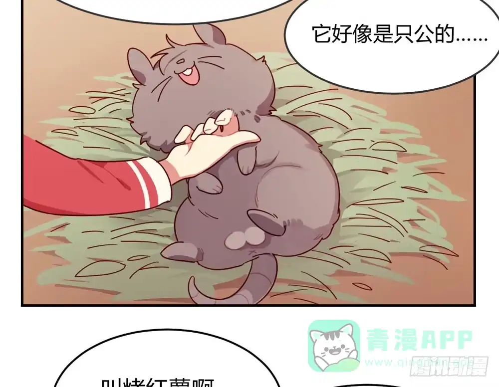 《温柔的屠龙方式》美人计？ 第96页