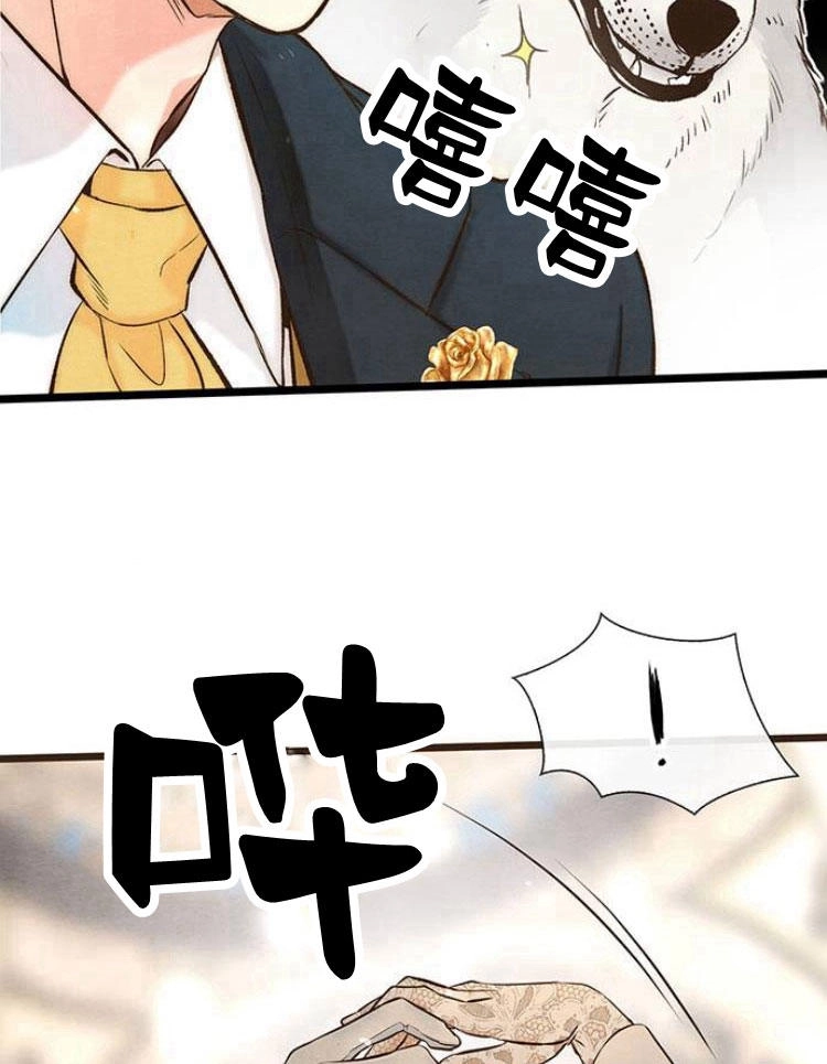 《问题性王子》第11话 第52页