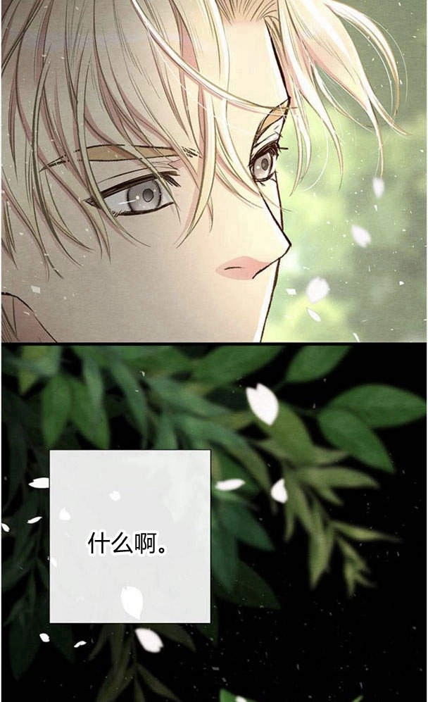《问题性王子》第24话 第17页